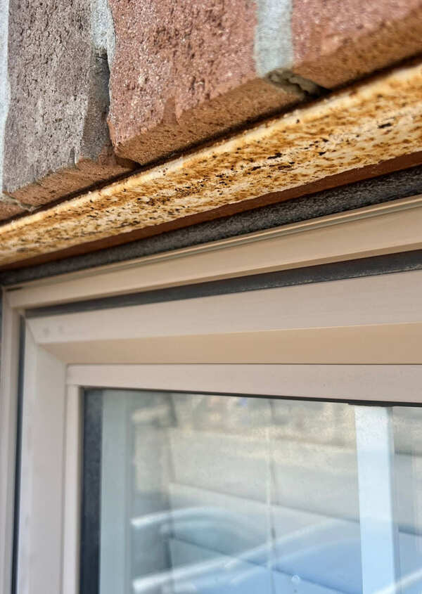 Close-up of a grey closed-cell foam backer rod installed into the joint cavity between a window frame and steel brick lintel.